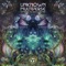 Hallucinate - Xandar lyrics