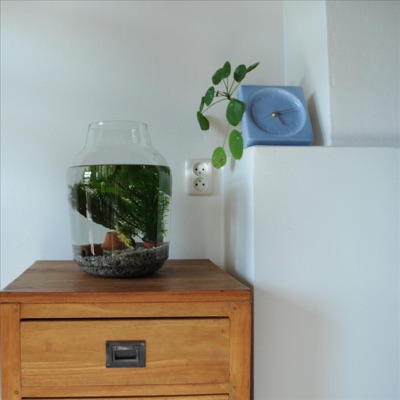 Binnen Blijven - Single