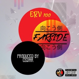 FarSide Erv100