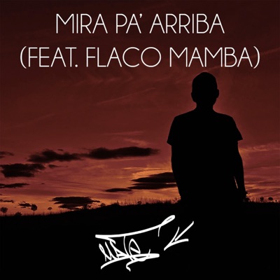 Mira Pa' Arriba (feat. Flaco Mamba) - Single
