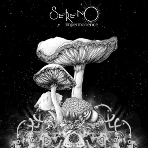 Impermanence - Single