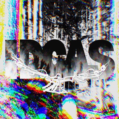 I.D.C.A.S - Single