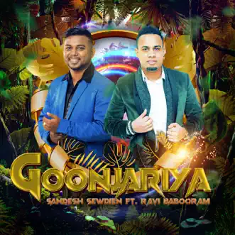 Goonjariya (feat. Ravi Babooram) - Single by Sandesh Sewdien album reviews, ratings, credits