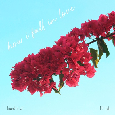 How I Fall in Love (feat. Zahr) - Single