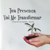 Salvador Maravilhoso