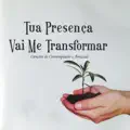 Salvador Maravilhoso