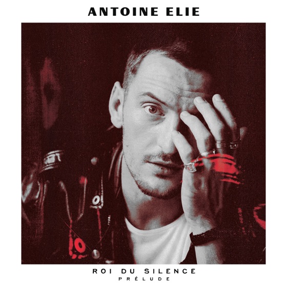 Cover artwork for La rose et l'armure