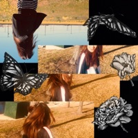 I Wanna Fall Through - Single - Kaiyko