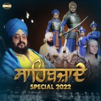 Dashmesh De Sujjeyan Pairan Te, Bann Malam Kite Lagg Java Mai - Single - Bhai Ranjit Singh Dhadrianwale