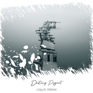 Destiny Project - Single