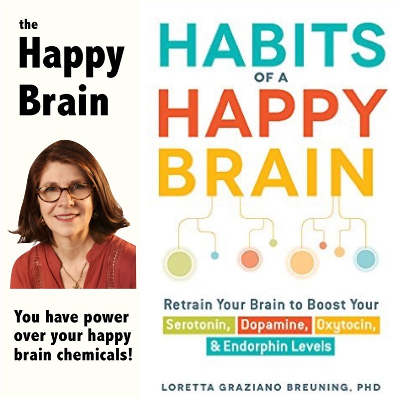 The Happy Brain