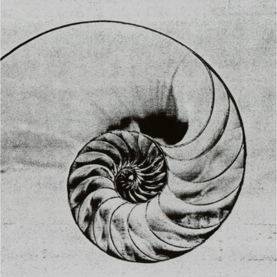 White Lies - Single