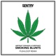 Smoking Blunts Pushloop Remix Single