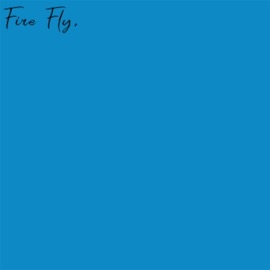 Fire Fly (feat. Cammie) BVG