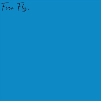 Fire Fly (feat. Bert) - Single