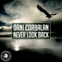 Never Look Back (Radio Edit) — Dani Corbalan