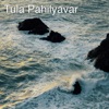 Tula Pahilyavar (feat. Digvijay Joshi, Kalyani Deshpande Joshi) - Single