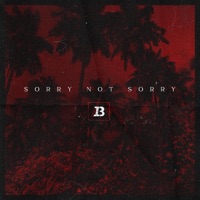 Sorry Not Sorry - Single - Ivan B
