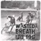 Junk - Wasted Breath lyrics