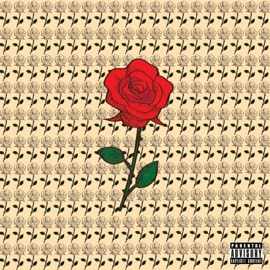 Thousand Roses N8 Douce