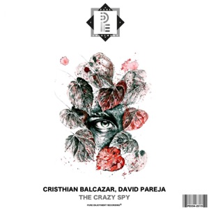 The Crazy Spy - Single