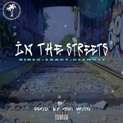 In the Streets (feat. Vibes & Exact) - Single
