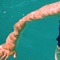 10 Gallons (feat. Mick Jenkins) - Zac Flewids & Cherry Blu lyrics