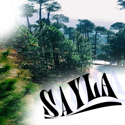 Narcy Veronica - Pop Stars