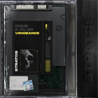 Vengeance - Single - Dr. Ozi & Chime