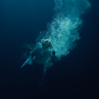 Womxn-Låpsley