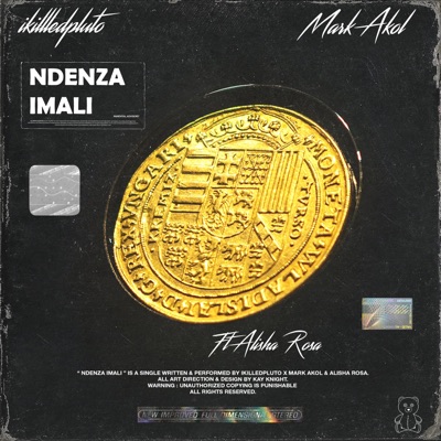 Ndenza Imali (feat. Ikilledpluto & Alisha Rosa) - Single