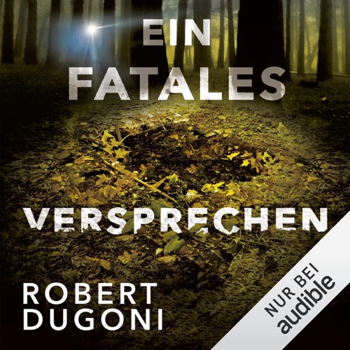 Ein fatales Versprechen: Tracy Crosswhite 6 cover