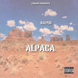 Powder (feat. Vonni G & Skruff Zona) Blaq Pe$o