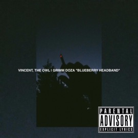 Blueberry Headband Vincent, The Owl