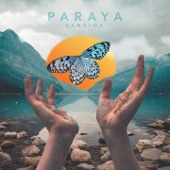 Paraya artwork