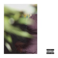 Hybris - Single - Nadel & Tacho