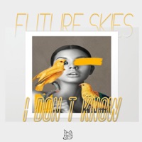 I Don't Know - Single - Future Skies