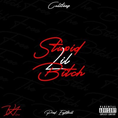 StupidLilBitch - Single