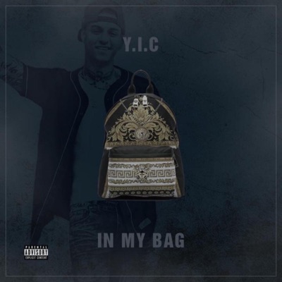 In My Bag - Single