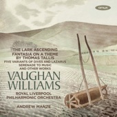 Vaughan Williams: Orchestral works artwork