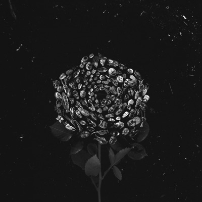 V Forme Roz (Moon's Voyager Remix) - Single