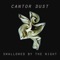 K Complex - Cantor Dust lyrics