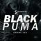 Black Puma - Salento DJ lyrics