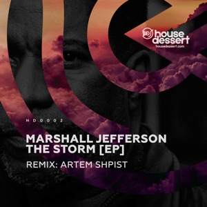The Storm (feat. Artem Shpist) - Single