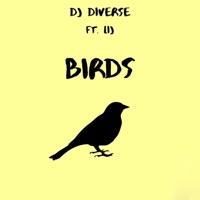 Birds (feat. Lij) - Single - DJ Diverse