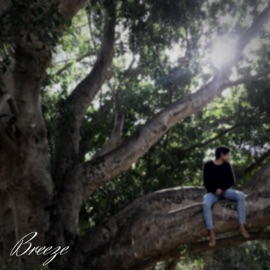 Breeze (feat. Solaj) Kiks