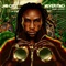 Never Find: Jungle Remixes - Single