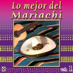 Mariachi America - Niño Perdido