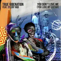 You Don't Love Me (You Love My Guitar) [feat. Sylent Nqo] — True Vibenation