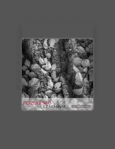 FEYZOYÊ SILO सुनें, म्यूज़िक वीडियो देखें, बायो पढ़ें, दौरे की तारीखें और बहुत कुछ देखें!